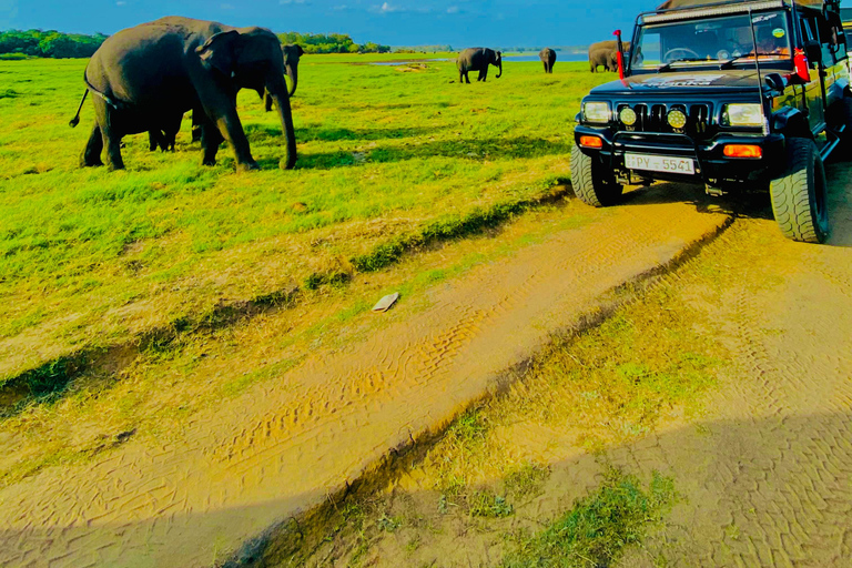 From Sigiriya-Hurulu Eco Park Jeep Safari Excluded tickets