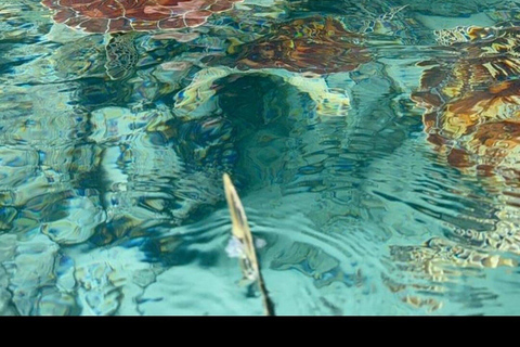 Zanzibar: wycieczka do jaskini SalamBrak transferu