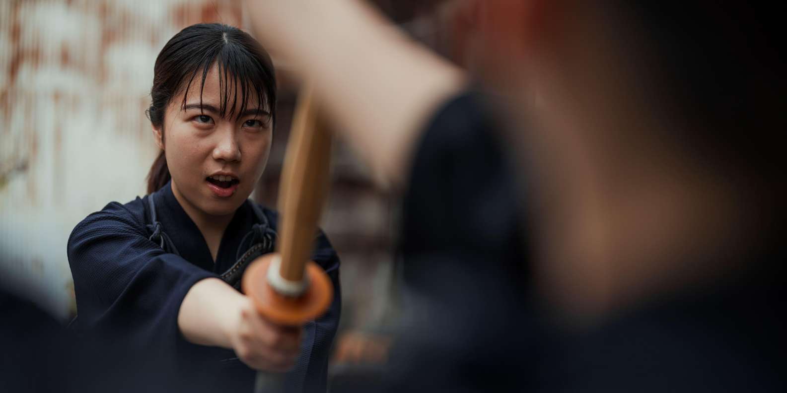Kyoto experience — temples, geisha, bamboo grove — image 21