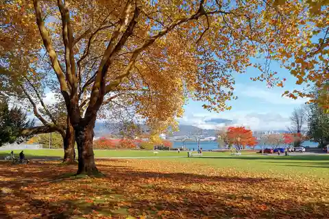 Vancouver: Tour guiado na cidade