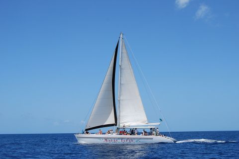 From Castries: Full-Day Catamaran Tour of Saint Lucia
