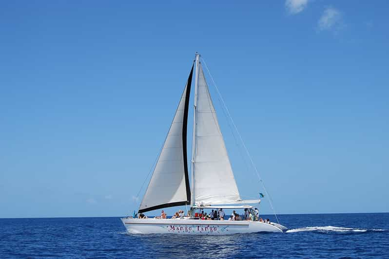 From Castries: Full-Day Catamaran Tour to Soufriere