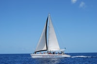 From Castries, Full-Day Catamaran Tour of Saint Lucia - Housity