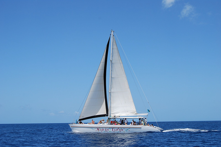 From Castries: Full-Day Catamaran Tour to Soufriere Standard Option