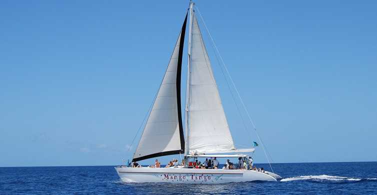 From Castries: Full-Day Catamaran Tour to Soufriere