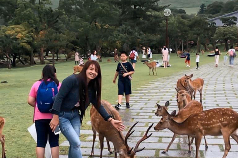 奈良公园：隐秘小径与鹿群导览之旅（含接送服务）