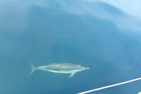 Syracuse: Snorkeling Excursions by Sailboat to Plemmirio Syracuse: Snorkeling Excursions by Sailboat at Plemmirio