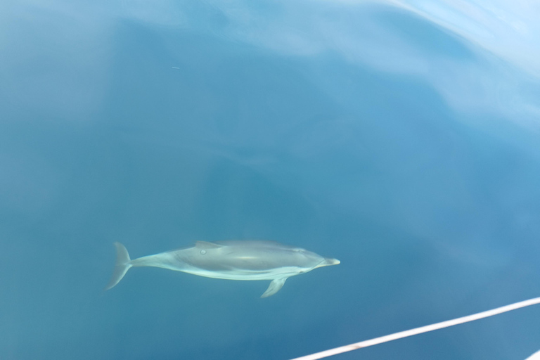 Syracuse: Snorkeling Excursions by Sailboat to Plemmirio Syracuse: Snorkeling Excursions by Sailboat at Plemmirio