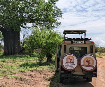 Zanzibar: Safari di 2 giorni nel Parco Nazionale di Mikumi