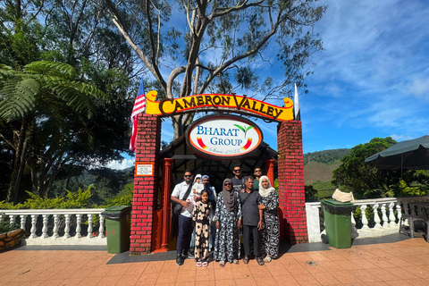 From Kuala Lumpur: Cameron Highlands Private Tour