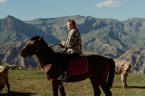 Ride A Horse To Gergeti Trinity Church And Summit A Mountain