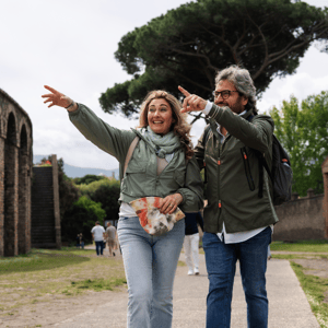 Pompeii Express: High-Speed Train from Rome