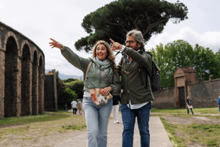 Pompeii Express: High-Speed Train from Rome