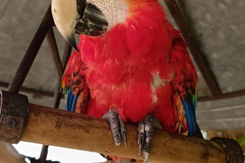 Shore Excursion from Puerto Quetzal to Antigua Guatemala and back