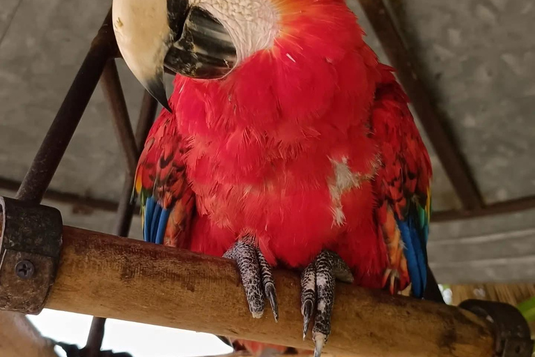 Shore Excursion from Puerto Quetzal to Antigua Guatemala and back