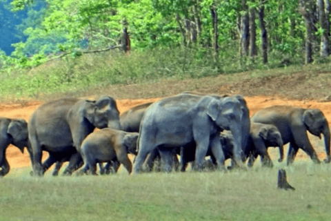 South India Tour : Hidden Saffron Heritage Trails Tour With Proffessional Tour Guide Only.