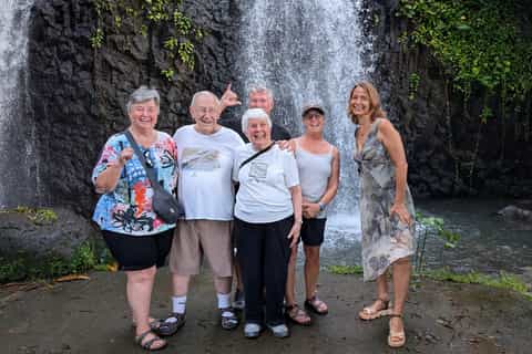 Tahiti : visite en petit groupe d'une demi-journée – cascades et grottes