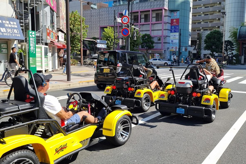 Tokyo: Shibuya & Tokyo Landmarks Guided Drive Tokyo Shibuya Night Drive Experience