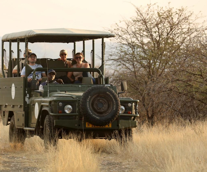 Windhoek: Scenic Game Drive Activity