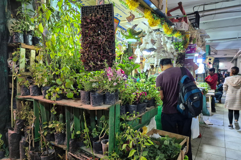 Arequipa: San Camilo Market Tour