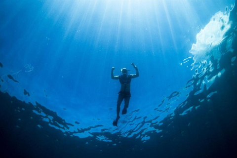 Waikiki: Wycieczka z rurką z hawajskimi zielonymi żółwiami morskimiWaikiki Snorkel Tour