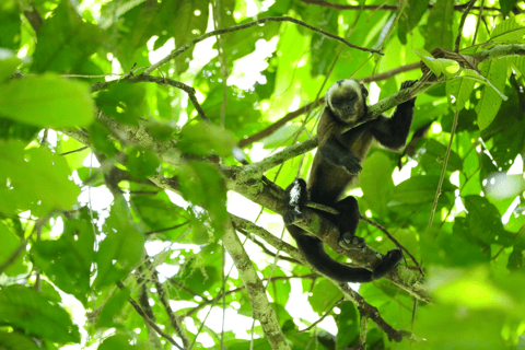 From Guatemala City: Tikal & Yaxhá 2-Day Tour with Flights