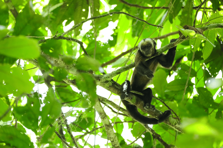 From Guatemala City: Tikal & Yaxhá 2-Day Tour with Flights