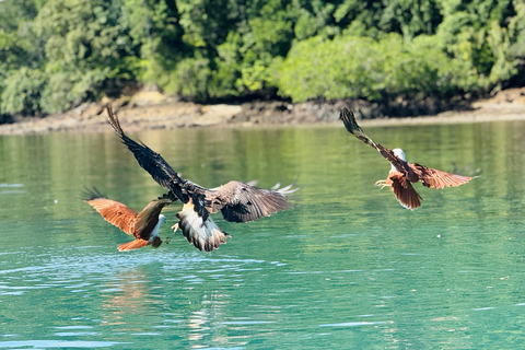Shared Langkawi Mangrover River Cruise / Snorkelling Shared Mangrove Tour +Snorkelling +Lunch 4 Hours