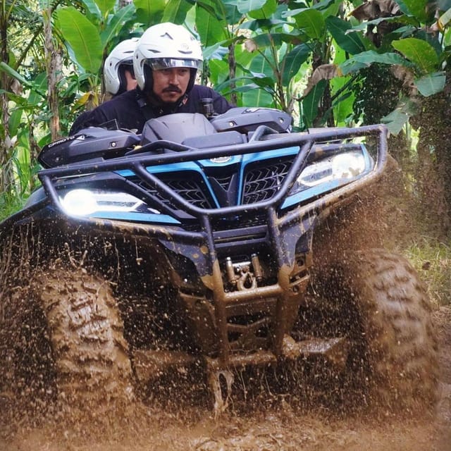 Ubud 850cc Atv Quad Adventure With Cretya Pool And Lunch GetYourGuide