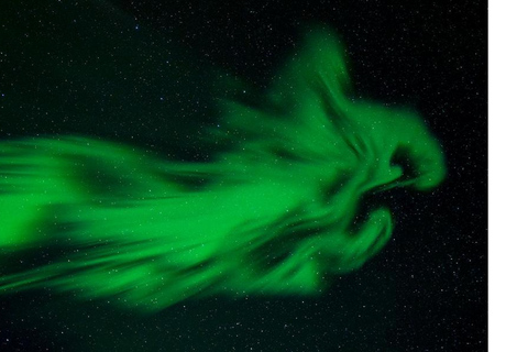 Tromso: Inseguimento dell&#039;aurora boreale in autobus con foto gratis