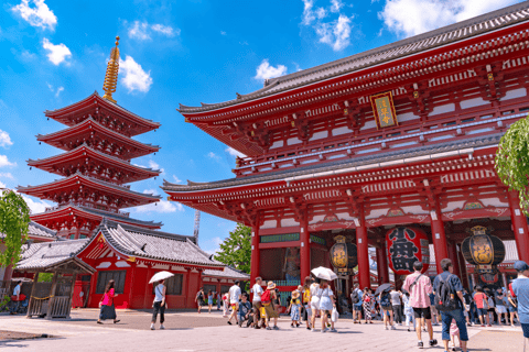 Tour privato di Tokyo con Kimono