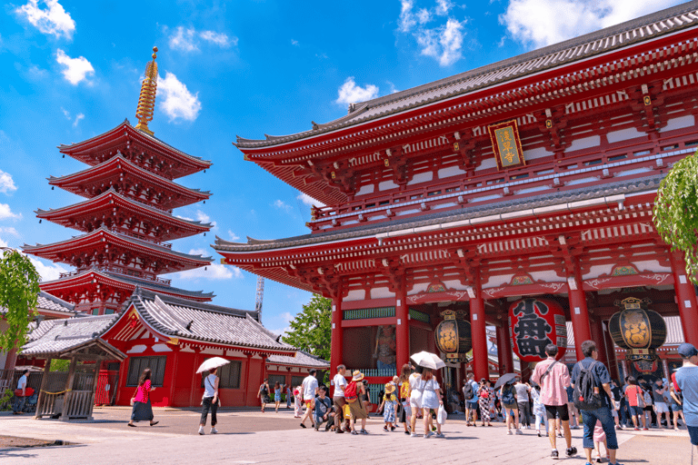 Tour privato di Tokyo con Kimono