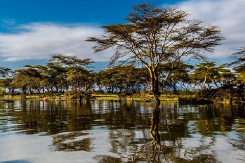 Nairobi : Excursion d'une journée au parc national de Nakuru et au lac NaivashaExcursion d'une journée au parc national de Nakuru et au lac Naivasha avec frais d'inscription