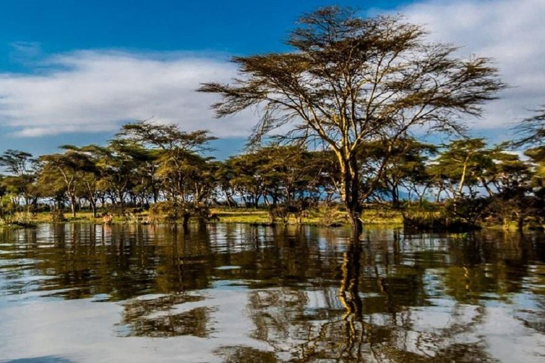 Nairobi : Excursion d'une journée au parc national de Nakuru et au lac NaivashaExcursion d'une journée au parc national de Nakuru et au lac Naivasha avec frais d'inscription