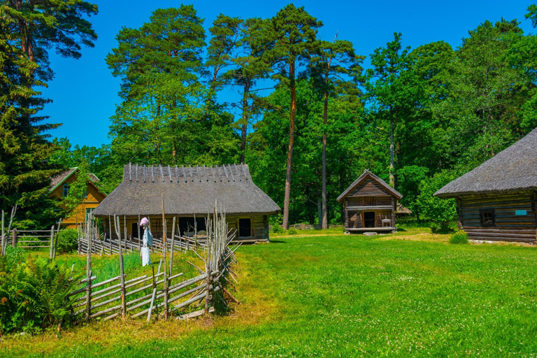 Skip-the-Line Estonian Open Air Museum Private Guided Tour 2-hour: Estonian Art Museum Tour