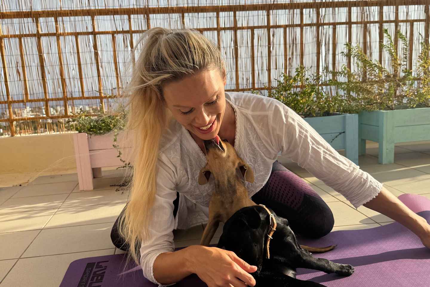 Paphos (Peyia): Mindful Yoga with Rescue Puppies