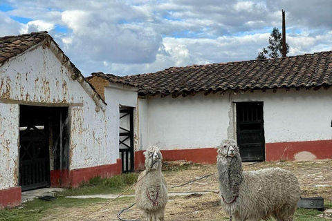 Charmes coloniaux : Hacienda La Colpa et Baños del Inca