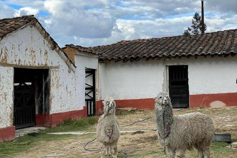 Kolonialne uroki: Hacienda La Colpa i Baños del Inca