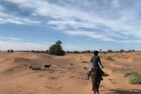 Excursión de 2 días al desierto de Zagora y las montañas del Atlas