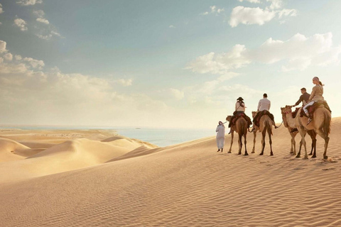 Doha: Safari nel deserto a basso costo, escursioni in cammello e sandboardingDoha: Safari nel deserto a basso costo, escursioni a dorso di cammello e sandboarding