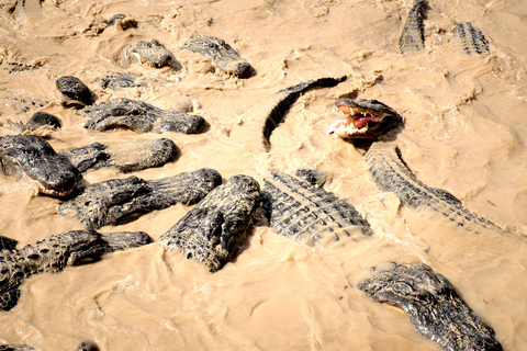 Miami: Everglades Airboat and Wildlife Reserve