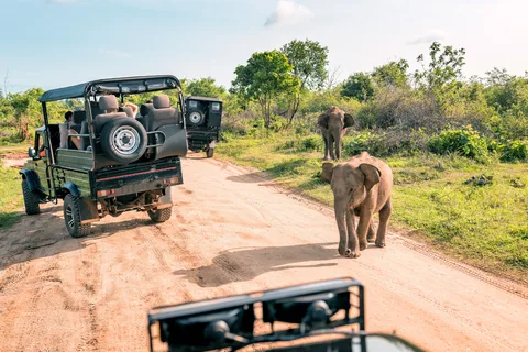 4-Day Adventure Tour: Colombo to Sinharaja, Ella & Beyond