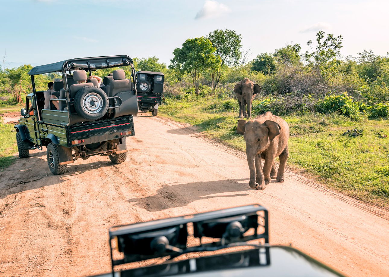 4-tägige Abenteuer Tour: Colombo nach Sinharaja, Ella und darüber hinaus