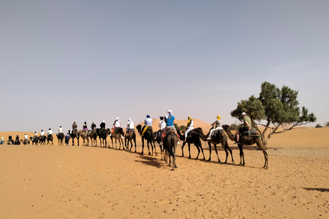 Passeio de 5 dias no deserto do Marrocos, de Marrakech a AgadirAcampamento de luxo