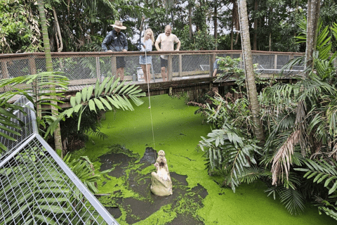 Port Douglas: Wildlife Habitat Croc Feed Upplevelse &amp; inträde