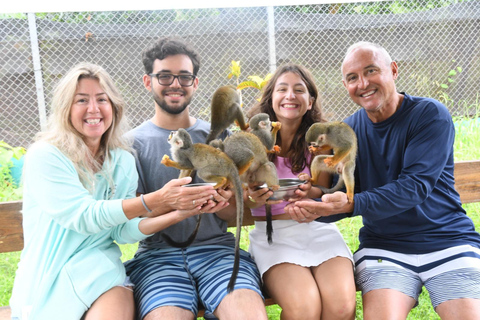 Puerto Plata: Monkey home, Damajagua Waterfalls & City Tour