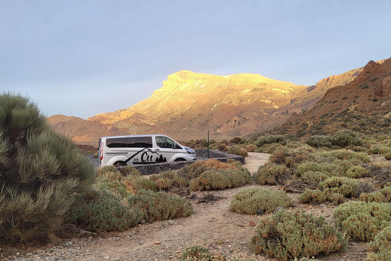 Teide National Park and Vilaflor; local wine tastingTeide-Nationalpark und Vilaflor; lokale Weinverkostung