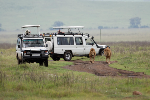 Wildlife Wonders: A 3-Day Safari to and from Arusha.
