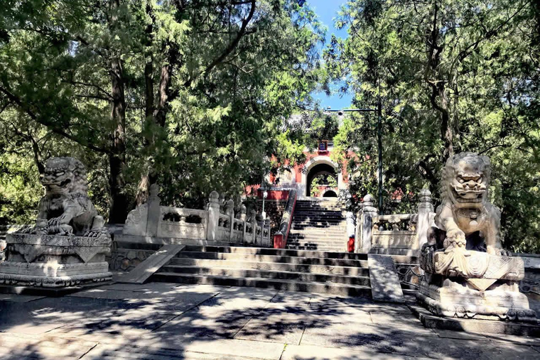 Beijing: Tanzhe and Biyun Temple Private Day Trip Beijing: Private Day Trip to Tanzhe and Yonghe Temple