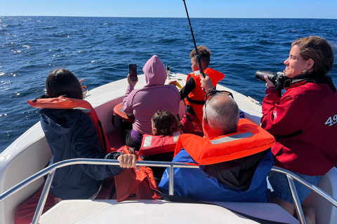 Maputo: Whale Watching, Day Trip